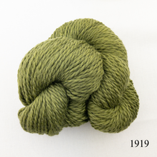 Load image into Gallery viewer, Game Day Striped Scarf Knitting Kit | Cascade 128 Superwash & Knitting Pattern (#281B)