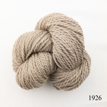 Load image into Gallery viewer, Game Day Striped Scarf Knitting Kit | Cascade 128 Superwash & Knitting Pattern (#281B)