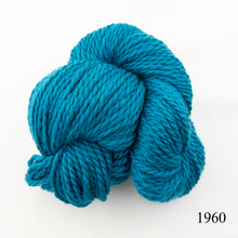 Load image into Gallery viewer, Game Day Striped Scarf Knitting Kit | Cascade 128 Superwash & Knitting Pattern (#281B)