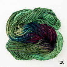 Load image into Gallery viewer, Wonderland Yarns TweedleDeeDum