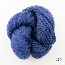 Load image into Gallery viewer, Game Day Striped Scarf Knitting Kit | Cascade 128 Superwash & Knitting Pattern (#281B)