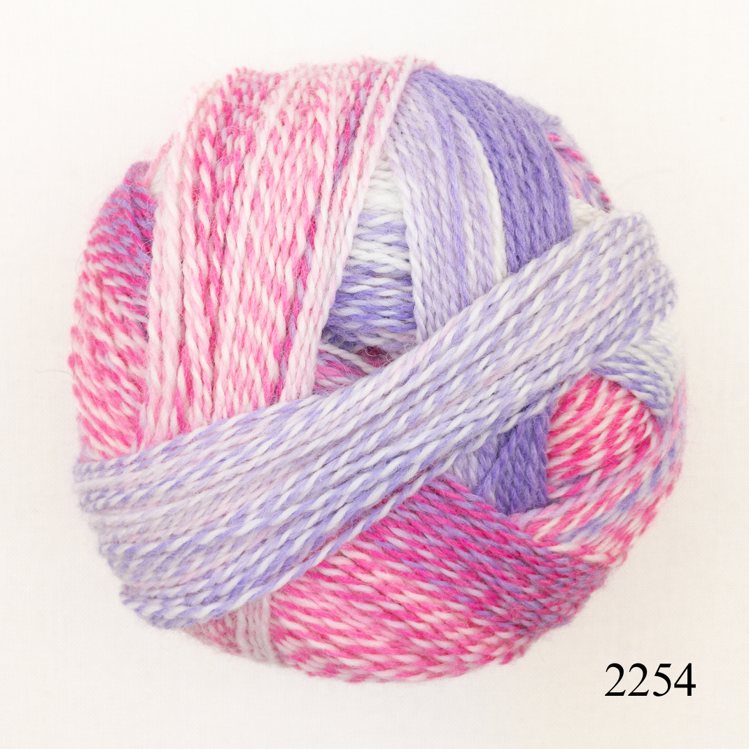 セーブル　キャセロール Schoppel Wolle Zauberball Crazy – ATELIER YARNS