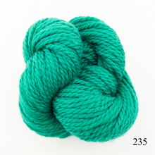 Load image into Gallery viewer, Game Day Striped Scarf Knitting Kit | Cascade 128 Superwash & Knitting Pattern (#281B)