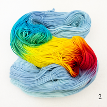 Load image into Gallery viewer, Atelier Fingering Weight Socks Knitting Kit | Wonderland Yarns Mary Ann Sock & Knitting Pattern (#61D)