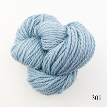 Load image into Gallery viewer, Game Day Striped Scarf Knitting Kit | Cascade 128 Superwash & Knitting Pattern (#281B)