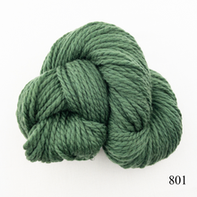 Load image into Gallery viewer, Game Day Striped Scarf Knitting Kit | Cascade 128 Superwash & Knitting Pattern (#281B)