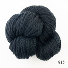 Load image into Gallery viewer, Game Day Striped Scarf Knitting Kit | Cascade 128 Superwash & Knitting Pattern (#281B)