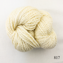 Load image into Gallery viewer, Game Day Striped Hat Knitting Kit | Cascade 128 Superwash & Knitting Pattern (#281)