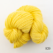 Load image into Gallery viewer, Game Day Striped Scarf Knitting Kit | Cascade 128 Superwash & Knitting Pattern (#281B)