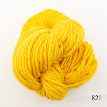 Load image into Gallery viewer, Game Day Striped Scarf Knitting Kit | Cascade 128 Superwash & Knitting Pattern (#281B)