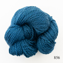 Load image into Gallery viewer, Game Day Striped Scarf Knitting Kit | Cascade 128 Superwash & Knitting Pattern (#281B)