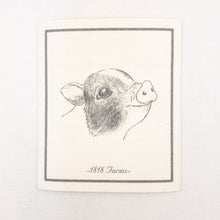 Load image into Gallery viewer, 1818 Farms Swedish Dishcloths