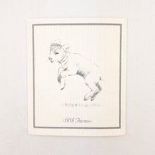 Load image into Gallery viewer, 1818 Farms Swedish Dishcloths