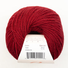 Load image into Gallery viewer, Celtic Tradition Afghan Knitting Kit | Ella Rae Superwash Classic & Knit Afghans Book