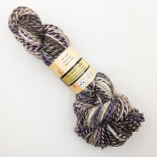 Load image into Gallery viewer, Feederbrook Farm Entropy  Superwash Merino Bulky
