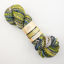 Load image into Gallery viewer, Feederbrook Farm Entropy  Superwash Merino Bulky