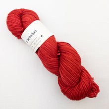 Load image into Gallery viewer, Atelier Easy Slippers Knitting Kit | Knitted Wit Merino Worsted & Knitting Pattern (#413)