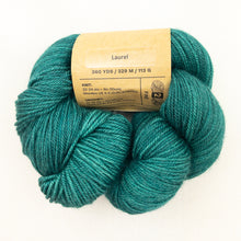 Load image into Gallery viewer, Luxury Gaiter Cowl (Pashmina version) Knitting Kit | Madelinetosh Pashmina & Knitting Pattern (#371)