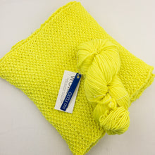 Load image into Gallery viewer, Malabrigo Seed Stitch Scarf Knitting Kit | Malabrigo Worsted & Knitting Pattern (#211)