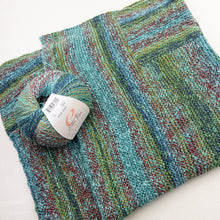 Load image into Gallery viewer, Marmel Cabin Baby Blanket Knitting Kit | Ella Rae Marmel & Knitting Pattern (#397)