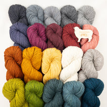 Load image into Gallery viewer, Beech Hill Wrap Knitting Kit | The Fibre Co. Acadia