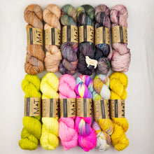 Load image into Gallery viewer, Madelinetosh Pashmina