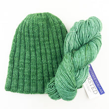 Load image into Gallery viewer, Malabrigo Ribbed Beanie Knitting Kit | Malabrigo Worsted & Knitting Pattern (#420)