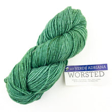 Load image into Gallery viewer, Malabrigo Worsted