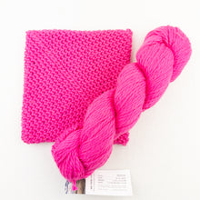 Load image into Gallery viewer, Simple Crochet Potholders Kit | Blue Sky Fibers Organic Cotton Worsted & Crochet Pattern (#419)