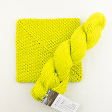 Load image into Gallery viewer, Simple Crochet Potholders Kit | Blue Sky Fibers Organic Cotton Worsted & Crochet Pattern (#419)