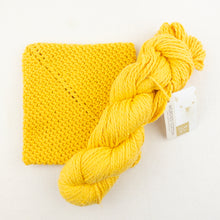 Load image into Gallery viewer, Simple Crochet Potholders Kit | Blue Sky Fibers Organic Cotton Worsted & Crochet Pattern (#419)