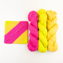 Load image into Gallery viewer, Simple Crochet Potholders Kit | Blue Sky Fibers Organic Cotton Worsted & Crochet Pattern (#419)