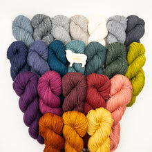 Load image into Gallery viewer, Baker Island Hat Knitting Kit | The Fibre Company Acadia