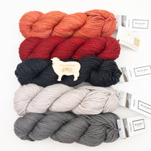 Load image into Gallery viewer, Blue Sky Fibers Hand Dyed Bulky