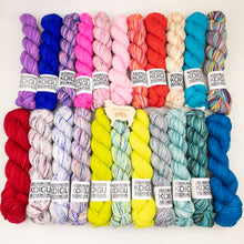 Load image into Gallery viewer, Koigu Premium Merino