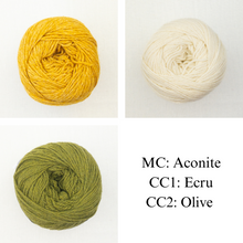 Load image into Gallery viewer, Forsythian Pullover Knitting Kit | Queensland United