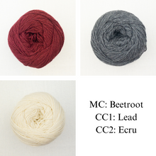 Load image into Gallery viewer, Forsythian Pullover Knitting Kit | Queensland United