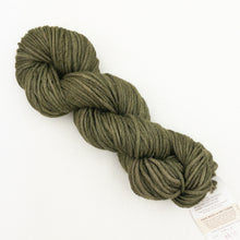 Load image into Gallery viewer, An olive green skein of Blue Sky Fibers Hand Dyes yarn on a white background