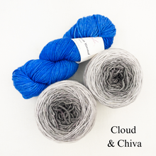Load image into Gallery viewer, Slip Stitch Scarf Knitting Kit | Anzula For Better or Worsted, Freia Superwash Merino Silk Worsted & Knitting Pattern (#089)