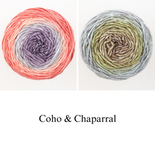 Load image into Gallery viewer, Asali Shawl Knitting Kit | Freia Superwash Merino Silk Worsted