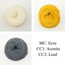 Load image into Gallery viewer, Forsythian Pullover Knitting Kit | Queensland United
