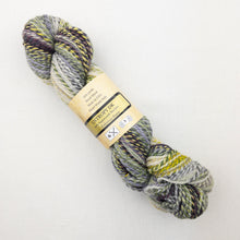 Load image into Gallery viewer, Multicolored skein of Feederbrook Entropy DK yarn.