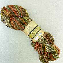 Load image into Gallery viewer, Multicolored skein of Feederbrook Entropy DK yarn.