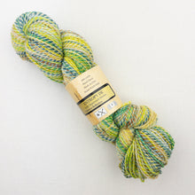 Load image into Gallery viewer, Multicolored skein of Feederbrook Entropy DK yarn.