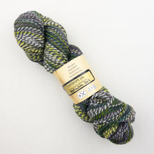 Load image into Gallery viewer, Multicolored skein of Feederbrook Entropy DK yarn.