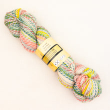 Load image into Gallery viewer, Multicolored skein of Feederbrook Entropy DK yarn.
