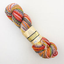 Load image into Gallery viewer, Multicolored skein of Feederbrook Entropy DK yarn.