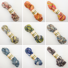 Load image into Gallery viewer, Feederbrook Farm Entropy  Superwash Merino Bulky