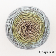 Load image into Gallery viewer, A green and grey ball of Freia Merino Silk Worsted ombre yarn