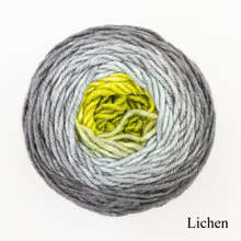 Load image into Gallery viewer, A grey and green ball of Freia Merino Silk Worsted ombre yarn